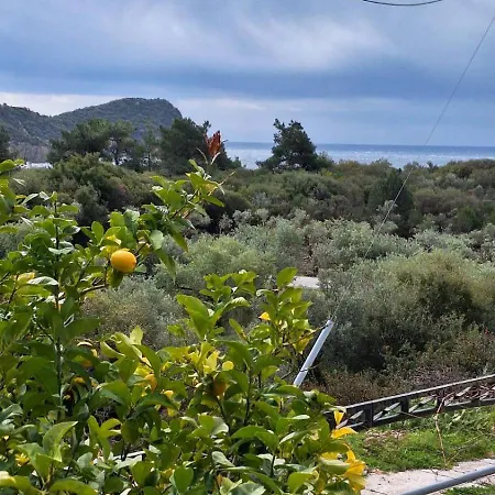 Lemon Tree House Dom wakacyjny