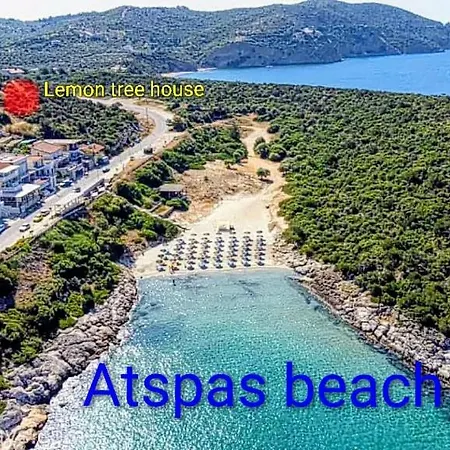 Lemon Tree House Дом отдыха