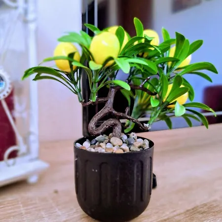 Ferienhaus Lemon Tree House